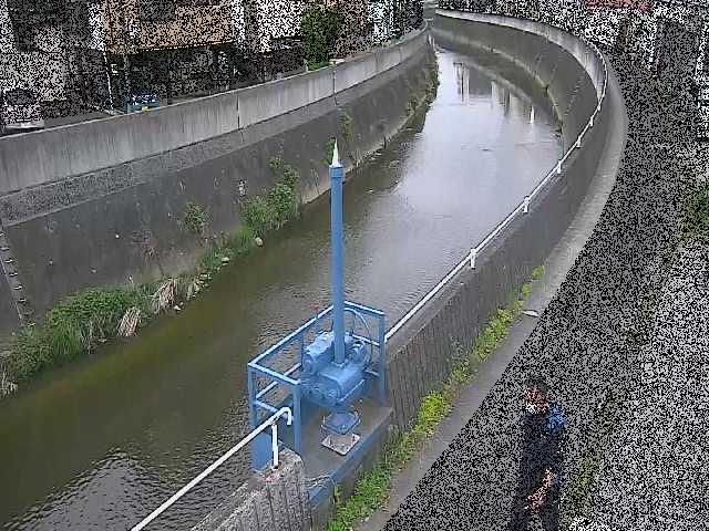 西ヶ崎橋付近のカメラ画像