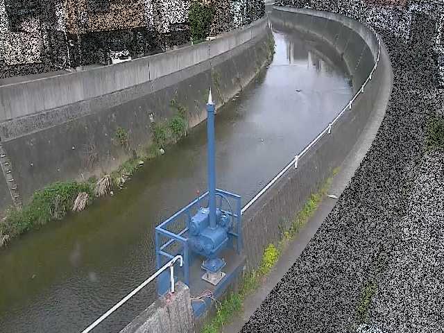 西ヶ崎橋付近のカメラ画像