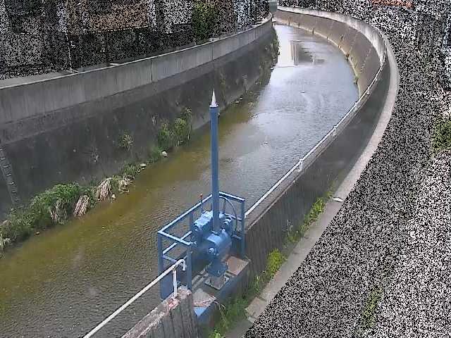 西ヶ崎橋付近のカメラ画像