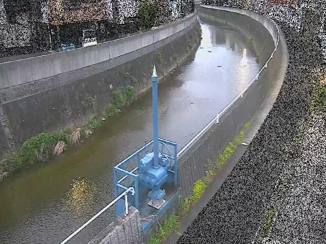 西ヶ崎橋付近のカメラ画像