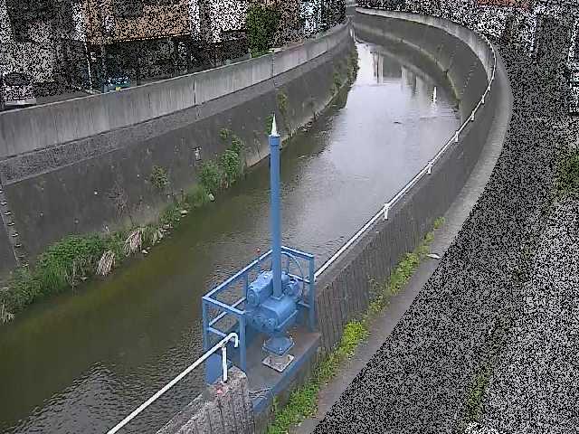 矢上川 西ヶ崎橋付近のカメラ画像