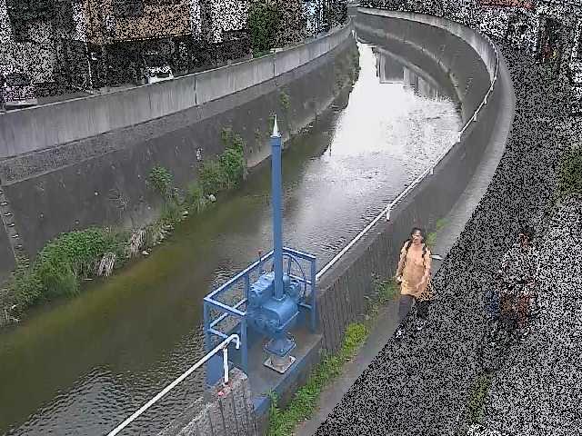 西ヶ崎橋付近のカメラ画像