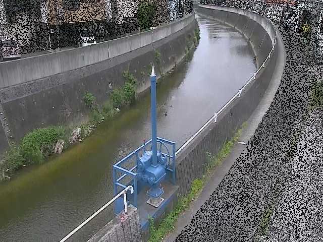 西ヶ崎橋付近のカメラ画像