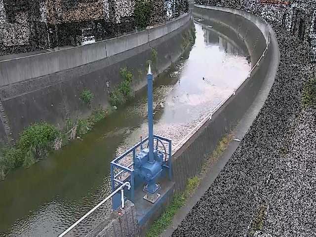 矢上川 西ヶ崎橋付近のカメラ画像