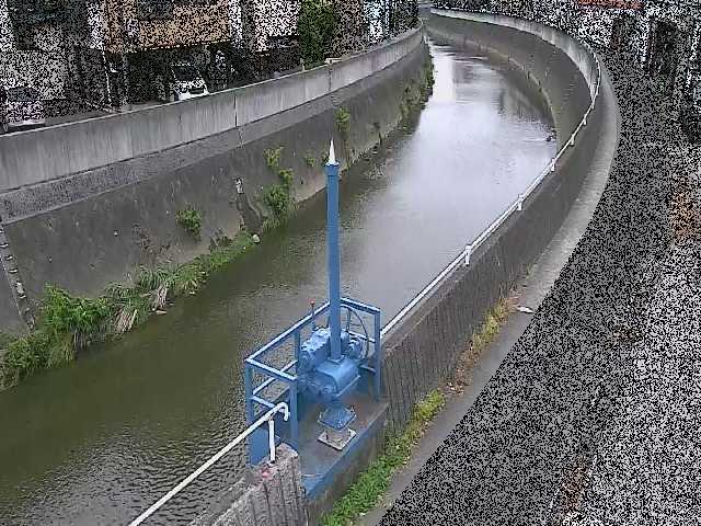 西ヶ崎橋付近のカメラ画像