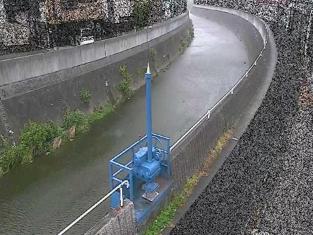 西ヶ崎橋付近のカメラ画像