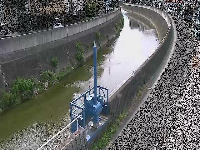 西ヶ崎橋付近のカメラ画像