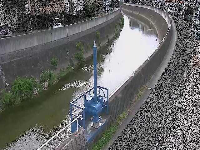 西ヶ崎橋付近のカメラ画像