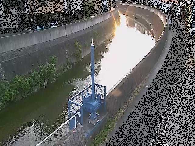 矢上川 西ヶ崎橋付近のカメラ画像