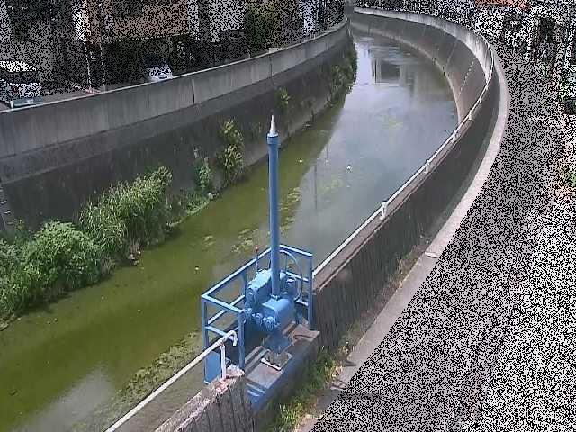 矢上川 西ヶ崎橋付近のカメラ画像