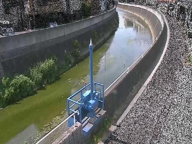 西ヶ崎橋付近のカメラ画像