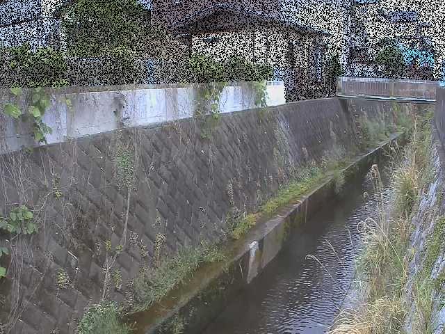 東野川付近のカメラ画像