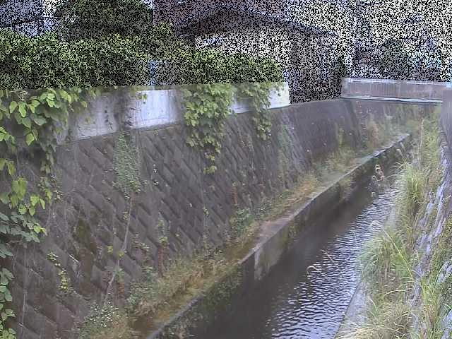 東野川付近のカメラ画像