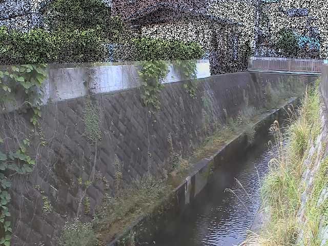東野川付近のカメラ画像