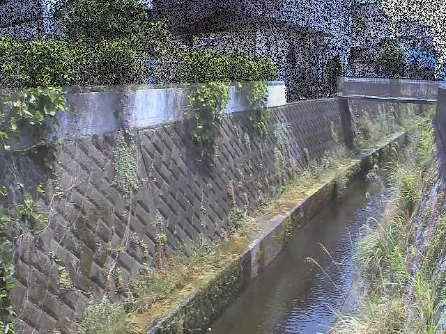 東野川付近のカメラ画像