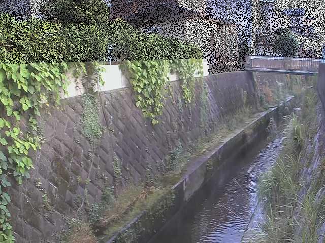 有馬川 東野川付近のカメラ画像