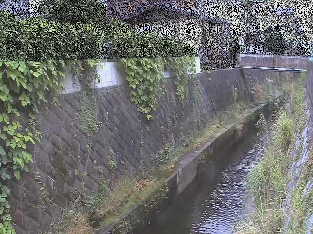 東野川付近のカメラ画像