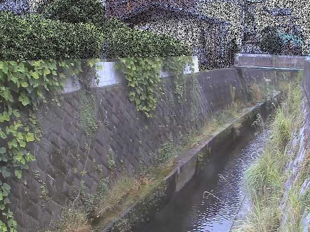 東野川付近のカメラ画像