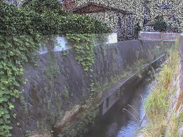 東野川付近のカメラ画像