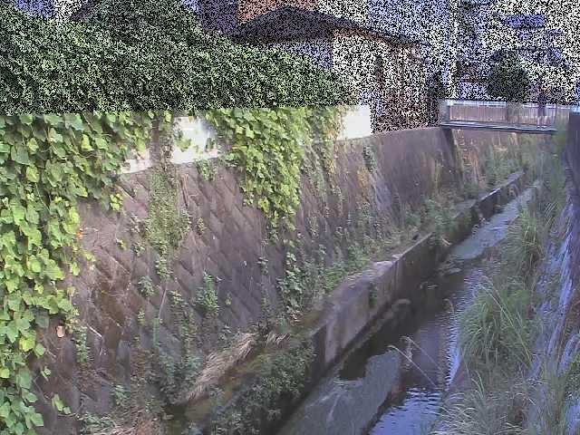 有馬川 東野川付近のカメラ画像