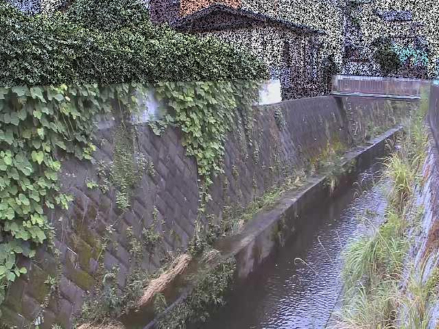 東野川付近のカメラ画像
