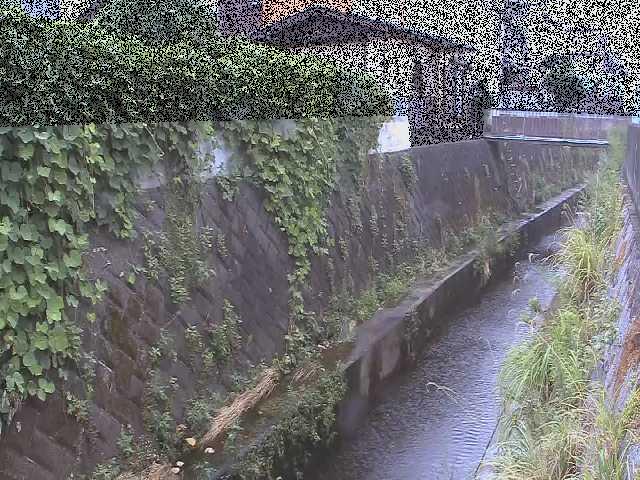 東野川付近のカメラ画像