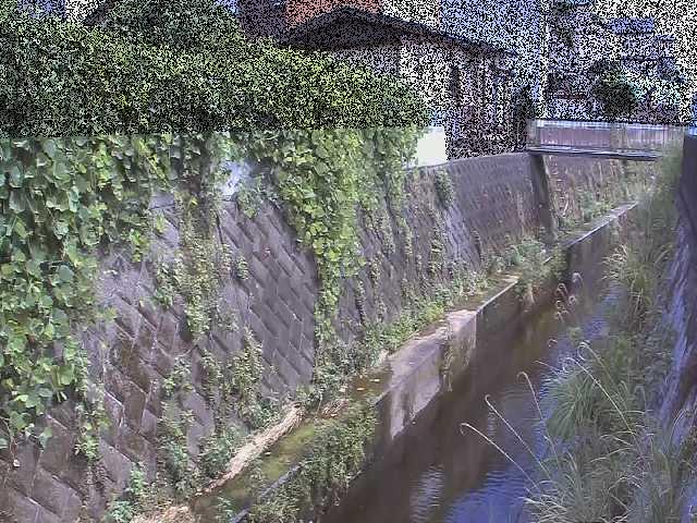 東野川付近のカメラ画像