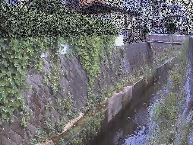 東野川付近のカメラ画像