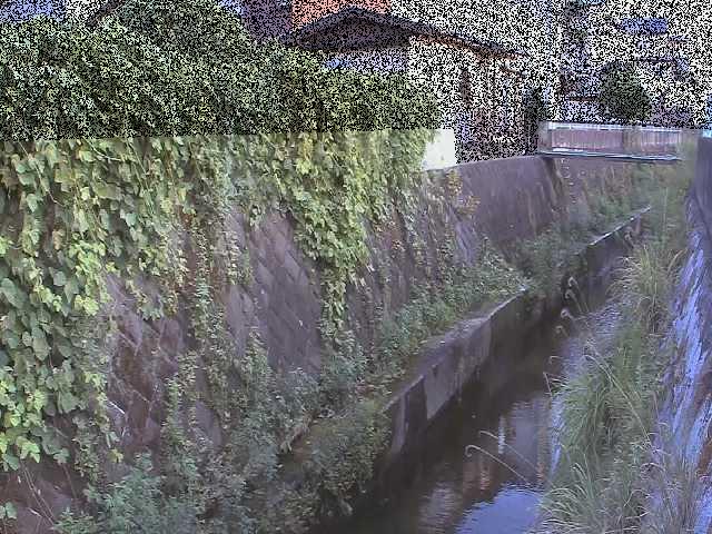有馬川 東野川付近のカメラ画像