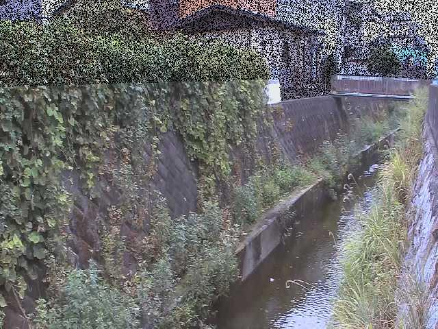 有馬川 東野川付近のカメラ画像