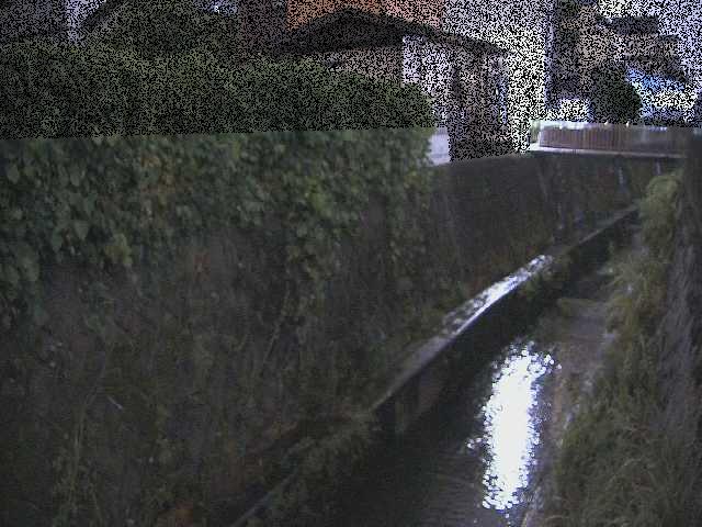 東野川付近のカメラ画像