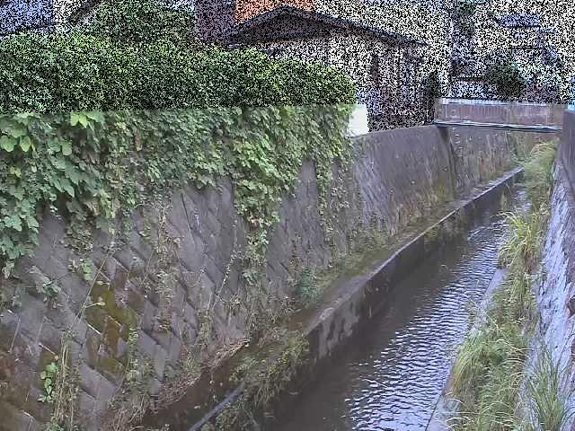 東野川付近のカメラ画像