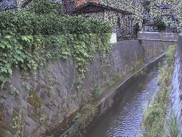 東野川付近のカメラ画像