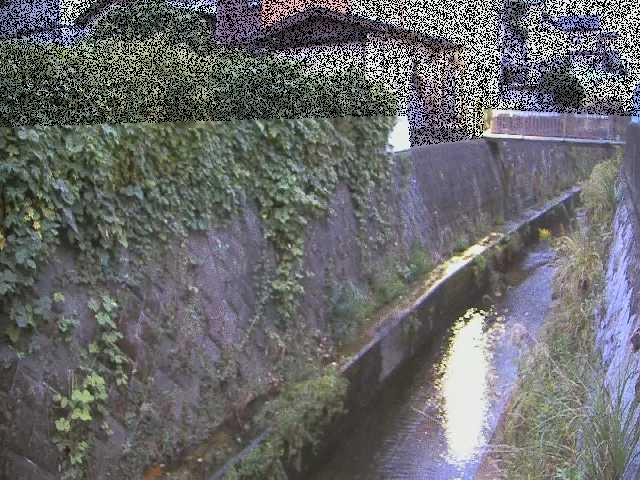 東野川付近のカメラ画像