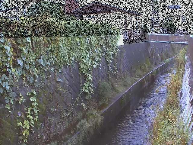 東野川付近のカメラ画像