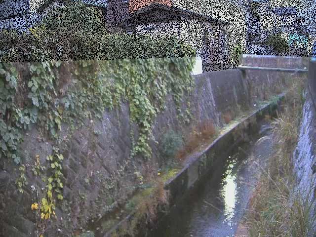 東野川付近のカメラ画像