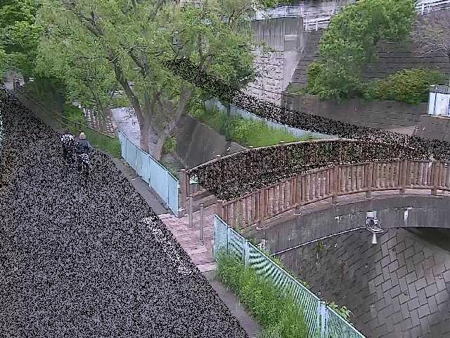 嶋田人道橋付近のカメラ画像