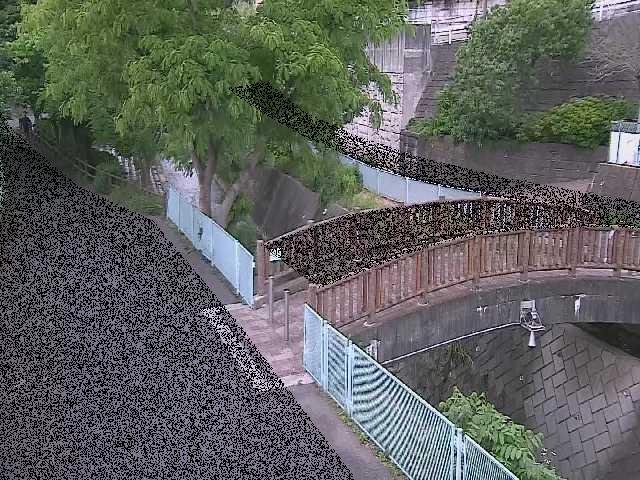 嶋田人道橋付近のカメラ画像