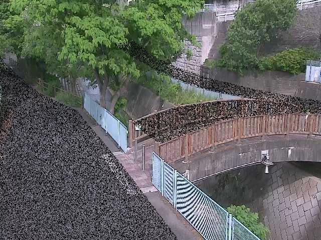 嶋田人道橋付近のカメラ画像