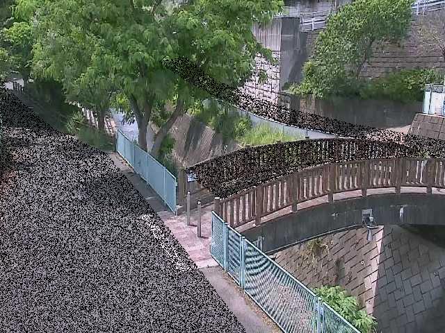 嶋田人道橋付近のカメラ画像