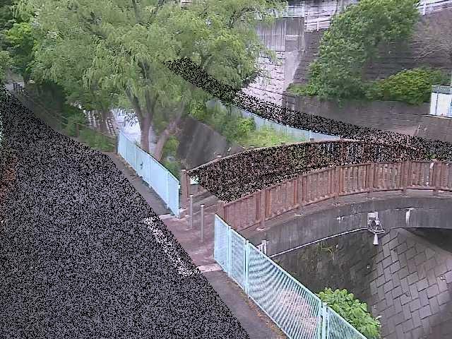 嶋田人道橋付近のカメラ画像