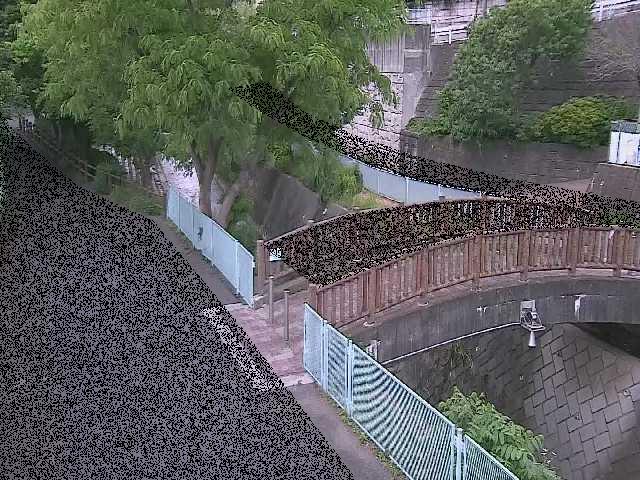 平瀬川 嶋田人道橋付近のカメラ画像