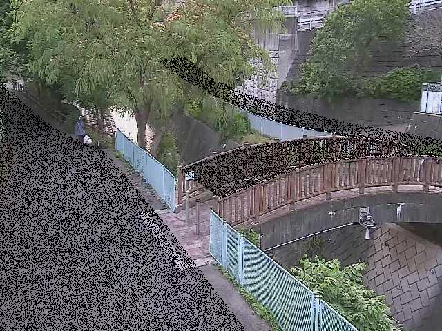 平瀬川 嶋田人道橋付近のカメラ画像