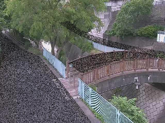嶋田人道橋付近のカメラ画像