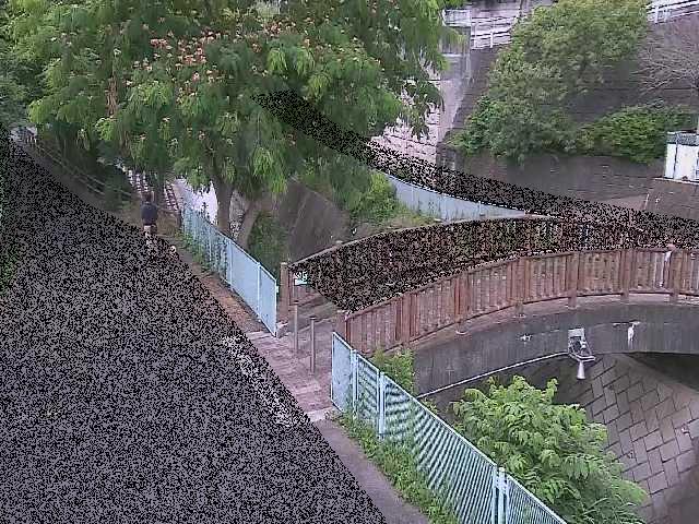 平瀬川 嶋田人道橋付近のカメラ画像