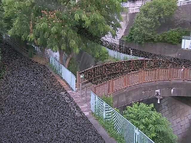 嶋田人道橋付近のカメラ画像
