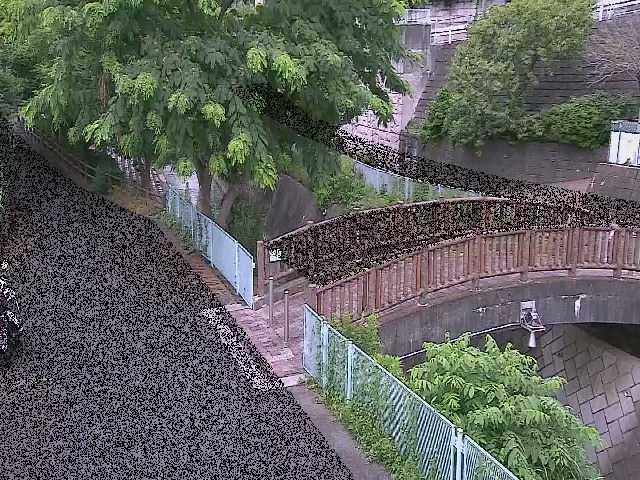 嶋田人道橋付近のカメラ画像