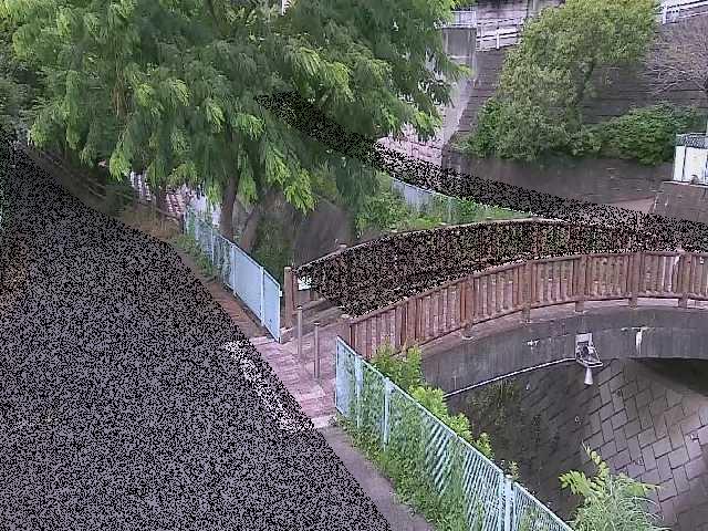 嶋田人道橋付近のカメラ画像