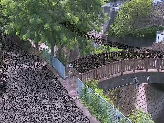 嶋田人道橋付近のカメラ画像