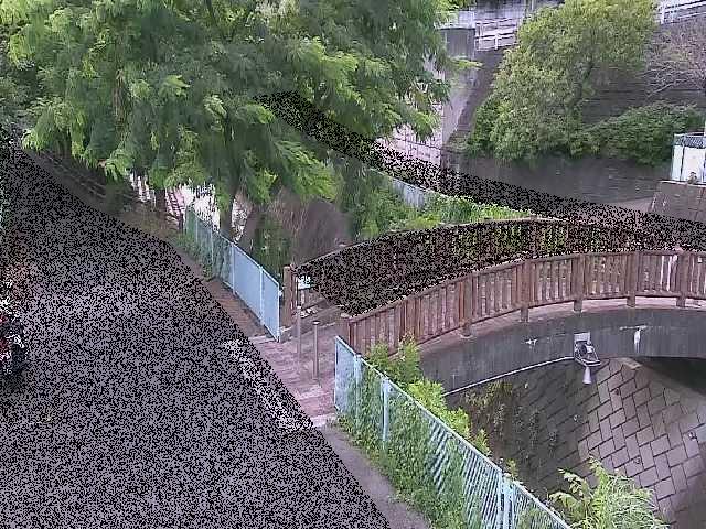 嶋田人道橋付近のカメラ画像